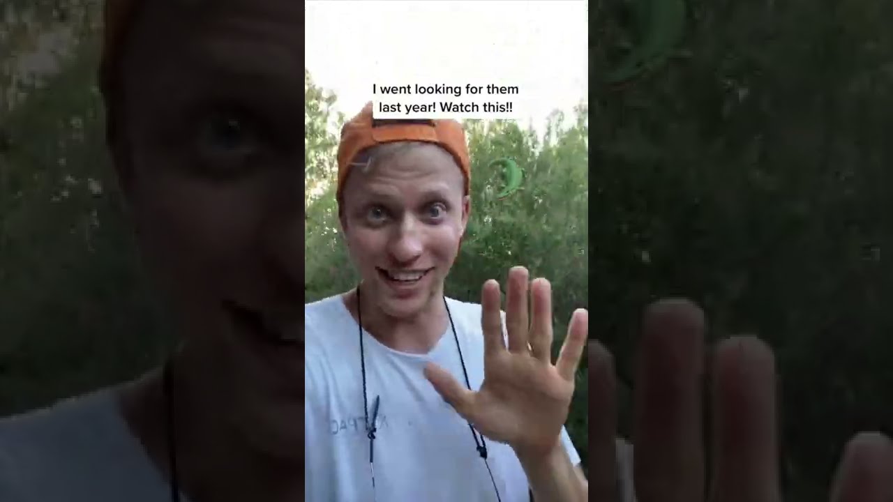 В поисках ДИКОГО крокодила в Австралии 