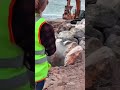 Amazing Satisfying FactoryWork in USA united states Mexico#foryou #shorts