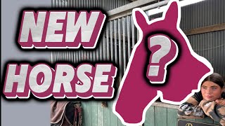 WE GOT A NEW HORSE !! | SAD STORY 😭