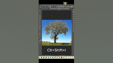 How to Remove Complex Tree Background in Adobe Photoshop