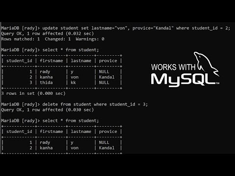 Write SQL Query MySQL Database basic in terminal