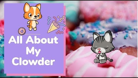 All About My Clowder || Meow Playground
