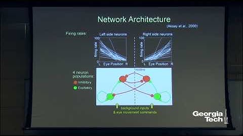 Microcircuits for Short-term Memory Storage, Motor Control, and Neural Integration