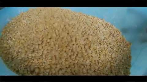 Soybean dehulling machine