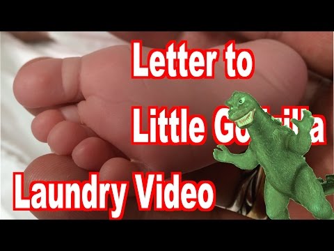 Letter to Little Godzilla - (Laundry Video)