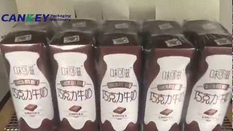 Yogurt Box Shrink Packing Machine|Shrink Wrapping For Yogurt Boxes Video +8618537181190