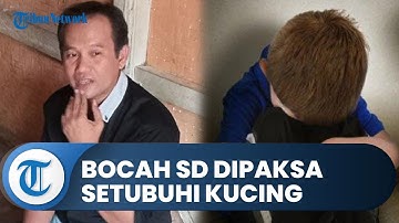 Bocah SD di Tasikmalaya Dipaksa Setubuhi Kucing, Depresi Hingga Meninggal, KPAID Lapor ke PPA