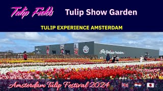 TULIP EXPERIENCE AMSTERDAM: Show Garden Only - Amsterdam Tulip Festival 2024 Part 3