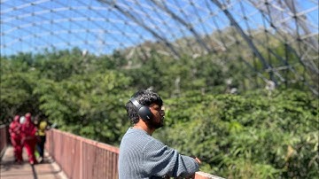 Statue ot Unity Part 2 Jungle Safari🤗 #goals #vlog #like #minivlog #subscribe 