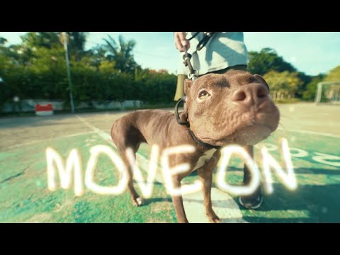 MOVE ON -  UNITED OF SOLOR Ft ASGARD MANAGEMENT(MV)