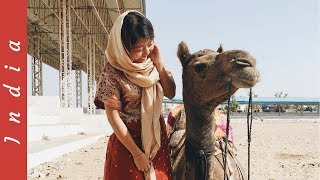 PUSHKAR, INDIA - DESERT SAFARI, my first camel ride! screenshot 2