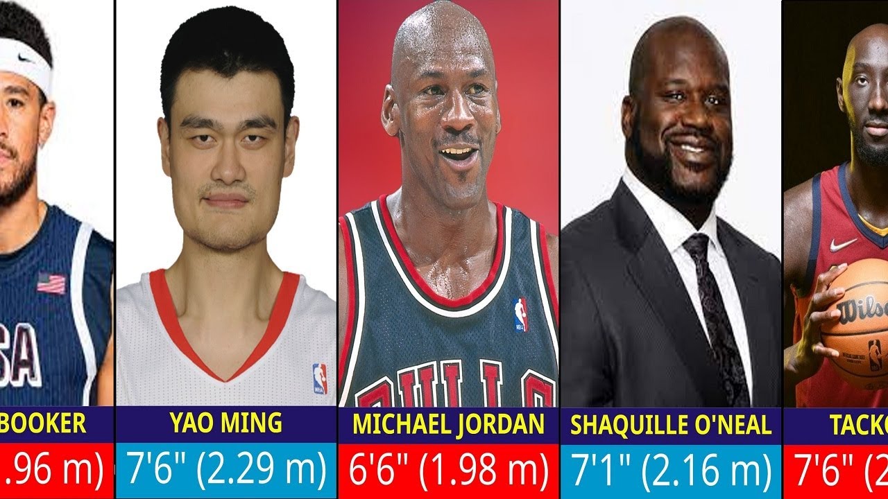 Height Comparison of the Greatest NBA Players of All Time: Legends ...