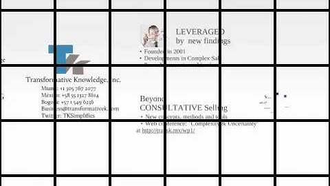 Transformative Knowledge, Inc. - English