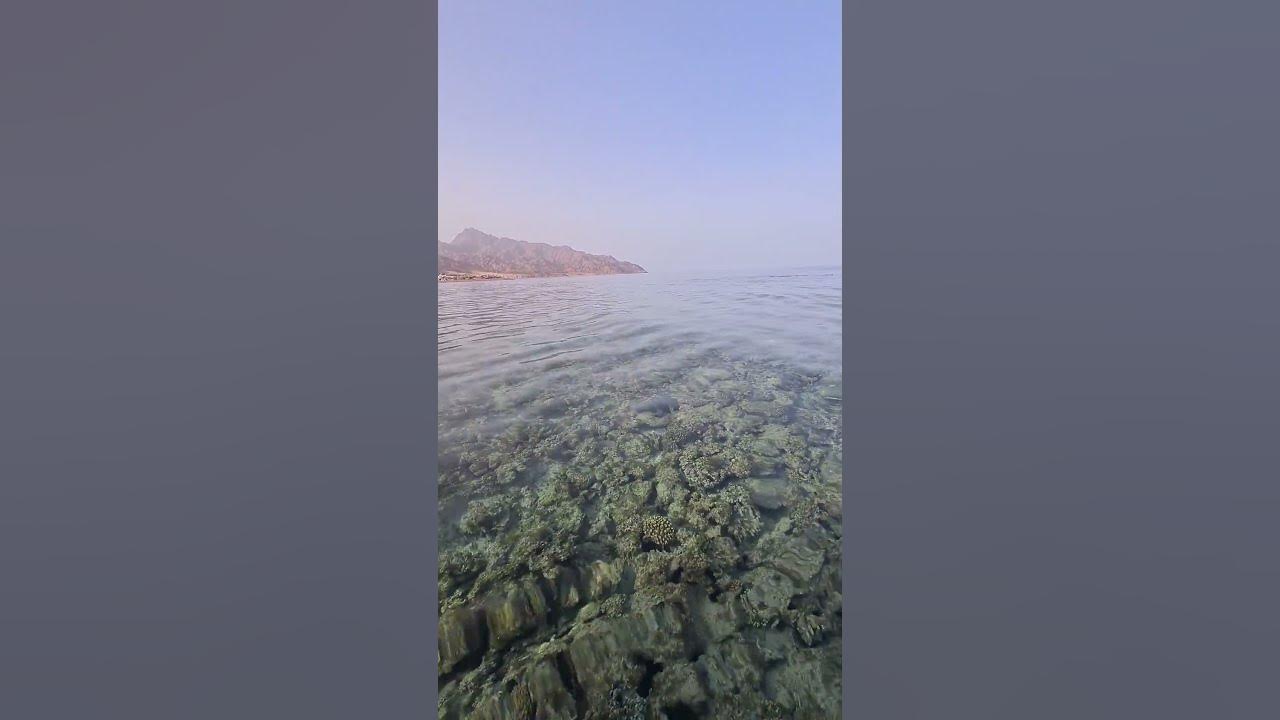 Sinai,Dahab
