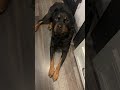 Using Suspect Language For Food Time ЁЯШВЁЯШВЁЯШВ Using Suspect Language For Food Time ЁЯШВЁЯШВЁЯШВ