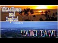 First Family trip | WhiteHouse | Capitol | Bodega:Pier | Tawi-Tawi |