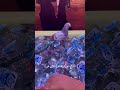 الكرم عدنه يختلف عن غيرنا الشهداء سر انتصارنا اكسبلور يافاطمه لايك الحشداوي الشيعة الكرم عدنه يختلف عن غيرنا الشهداء سر انتصارنا اكسبلور يافاطمه لايك الحشداوي الشيعة