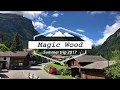 Magic Wood 2017