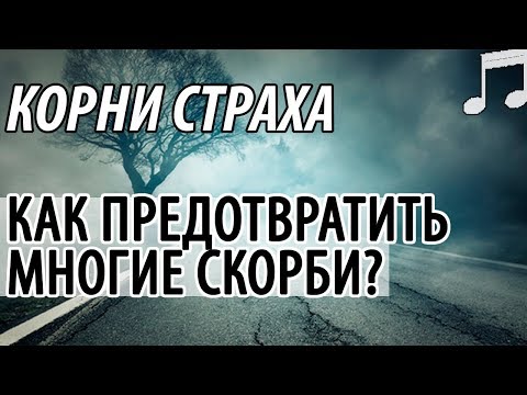 СТРАХ. Как предотвратить многие СКОРБИ? Святые отцы