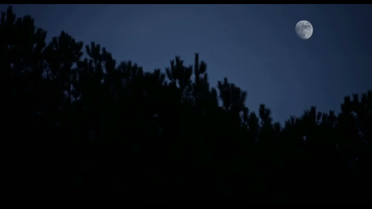 Dana baker und Charles baker hat eine schönen Nacht  arbor demon filmclip 2016 Fiona dourif