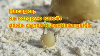 Насадка для рыбалки, на которую клюёт даже сытая и ленивая рыба