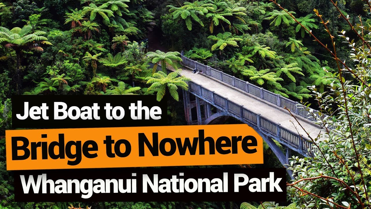 🛥️ Jet Boat to The Bridge to Nowhere in Whanganui National Park – New Zealand's Biggest Gap Year