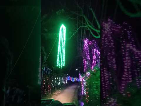 Lights✨❤️ #shortvideo #reels #shortsfeed #shorts #viral #photooftheday #shortsviral #fypシ