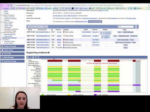 Choosing a transcript bioinformatics tools