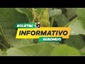 Produtores de Mato Grosso seguram a venda de soja