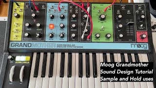 Moog Grandmother sound design tutorial: uses Sample and Hold