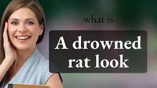 Unraveling Idioms Looking Like A Drowned Rat Explained