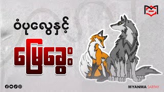 ❝ ဝံပုလွေနှင့် မြေခွေး ❞