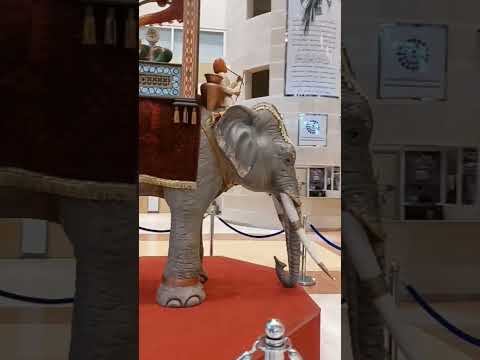 فيل ضخم في سايتك الدمام الخبر السعودية سايتك  فيل