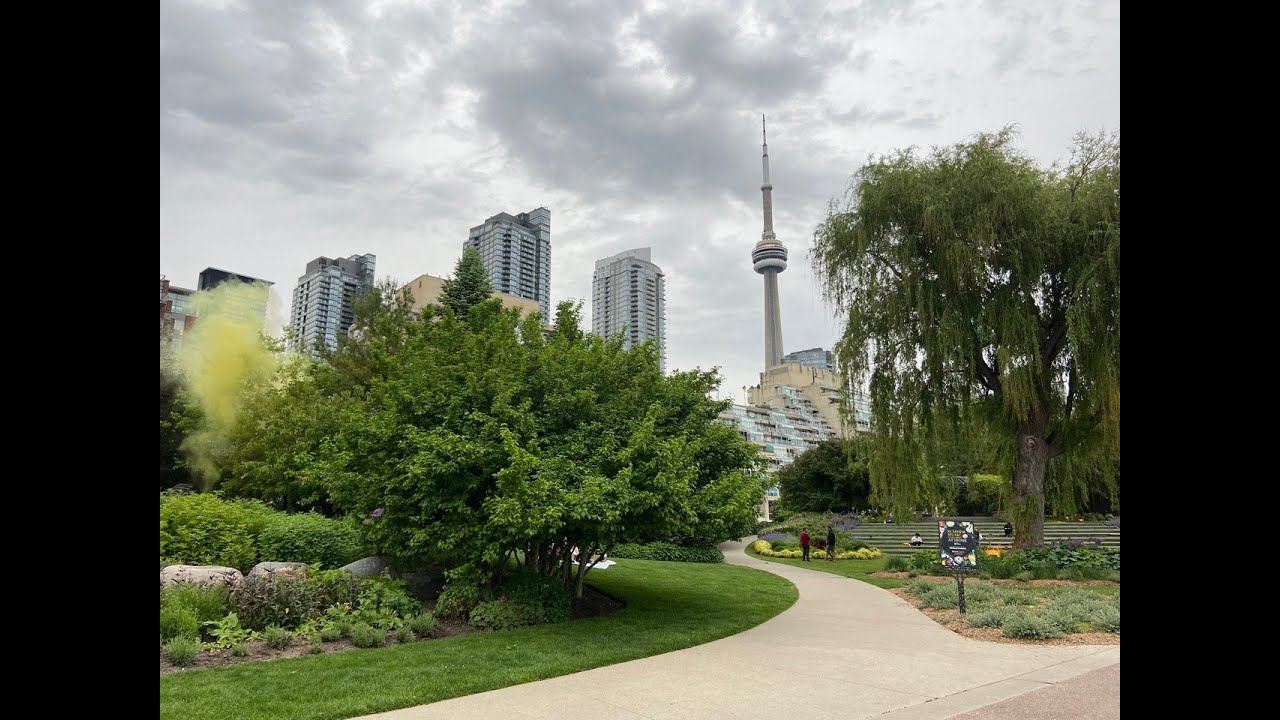 Toronto's Beautiful Harbourfront Area