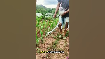 Genius DIY Farming Tool #diy #farming #gardeninghacks #lifehacks #shorts