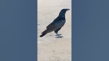 random pictures from my camera roll