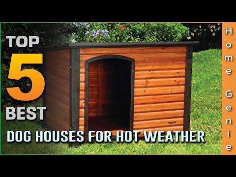 Top 5 Best Dog Houses For Hot Weather Review in 2022- To Keep Your Pet Comfortable in Summer