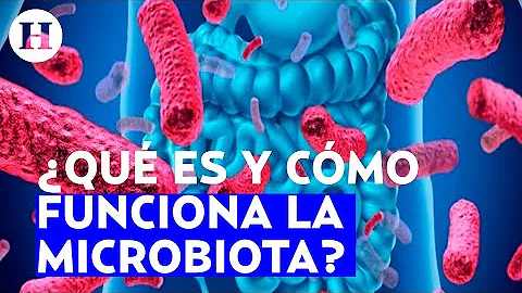 Qual a função da microbiota?