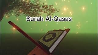 Surah Al-Qasas ~ Sheikh Raad Al Kurdi @Al-Quran-OurLight
