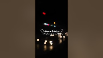 الم ترى كيف فعل ربك باصحاب الفيل سورة الفيل