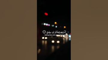الم ترى كيف فعل ربك باصحاب الفيل سورة الفيل