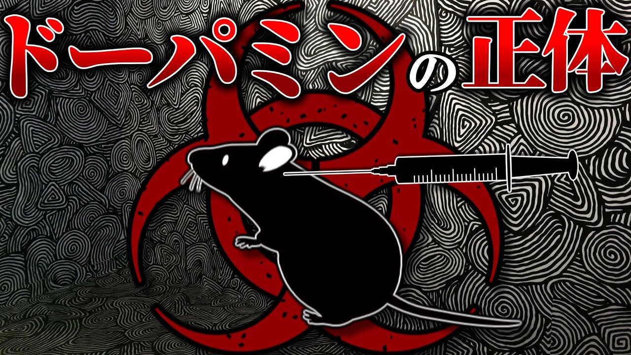 【なぜ薬物は依存症になるのか】ドーパミンは快楽物質ではない【ゆっくり解説】【雑学】