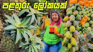 මෙහෙම පළතුරු දැකලම නෑ | Juice World