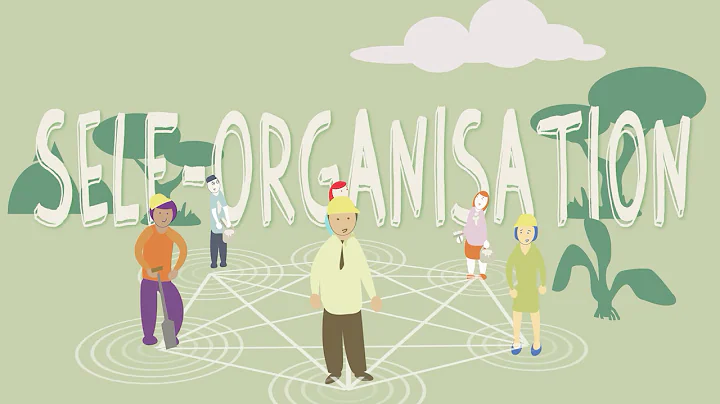 Self-Organisation Beyond Hierarchy