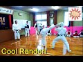 Shorinji kempo japan practice randori full contact