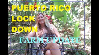 Puerto Rico Lockdown Update Week 6 -Clearing the Finca, Cooking, Flowers, Plants, Animals