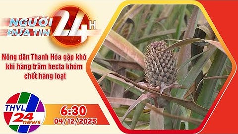 Người đưa tin 24H (6h30 ngày 04/12/2025): Nông dân Thanh Hóa gặp khó khi khóm chết hàng loạt