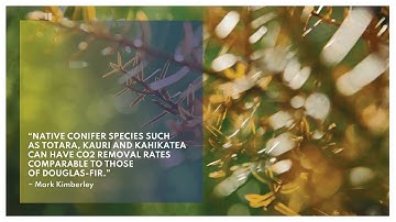 Mark Kimberley, Dr. David Bergin & Prof. Warwick Silvester: Carbon Sequestration by Native Fores...