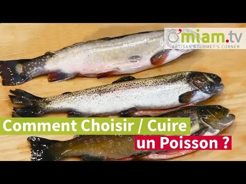 Vidéo: Comment Choisir Et Cuisiner Correctement Le Poisson