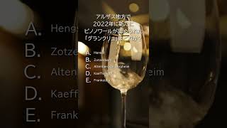 🩷【フランス】 #ソムリエ試験 #ワインエキスパート 【一問一答】